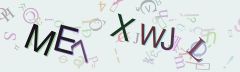 This is a captcha-picture. It is used to prevent mass-access by robots. (see: www.captcha.net)